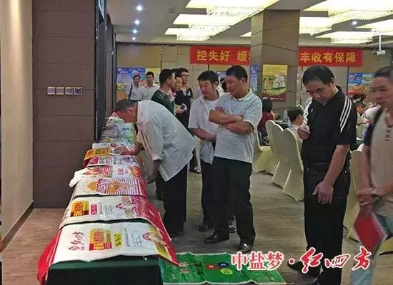 躬耕盛夏，蓄力金秋！