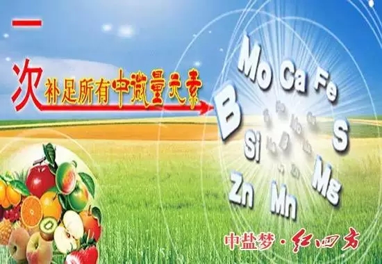 補充營養，微量元素少不了！