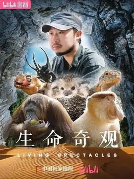 探索生命奇迹：一部视觉震撼的自然奇观之旅，揭示隐藏的生物世界秘密