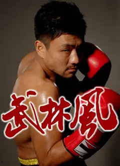 《武林风2012》：拳拳到肉的热血格斗，不只是输赢，更是武者精神的传承！