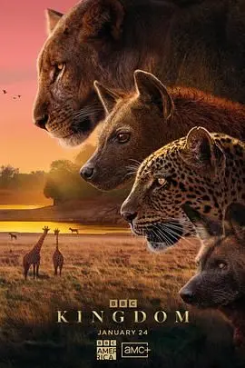 《动物王国(普通话版)》：人性的丛林法则，金钱与权力的残酷博弈，一部发人深省的社会寓言