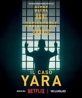 《雅拉命案 铁证背后》：揭秘隐藏的真相，一段关于正义与救赎的深刻审视