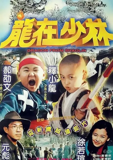 《龙在少林》：功夫小子硬闯少林寺，这趟“冒险”之旅，踢碎了多少武侠梦！