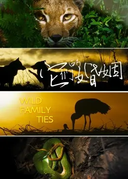 《它们的婚姻》：赌圣3式婚姻喜剧，笑到头掉的真实写照！