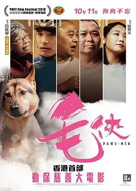 《毛侠》：国产武侠的“猫”式觉醒，还是欲望欺骗下的悲剧？